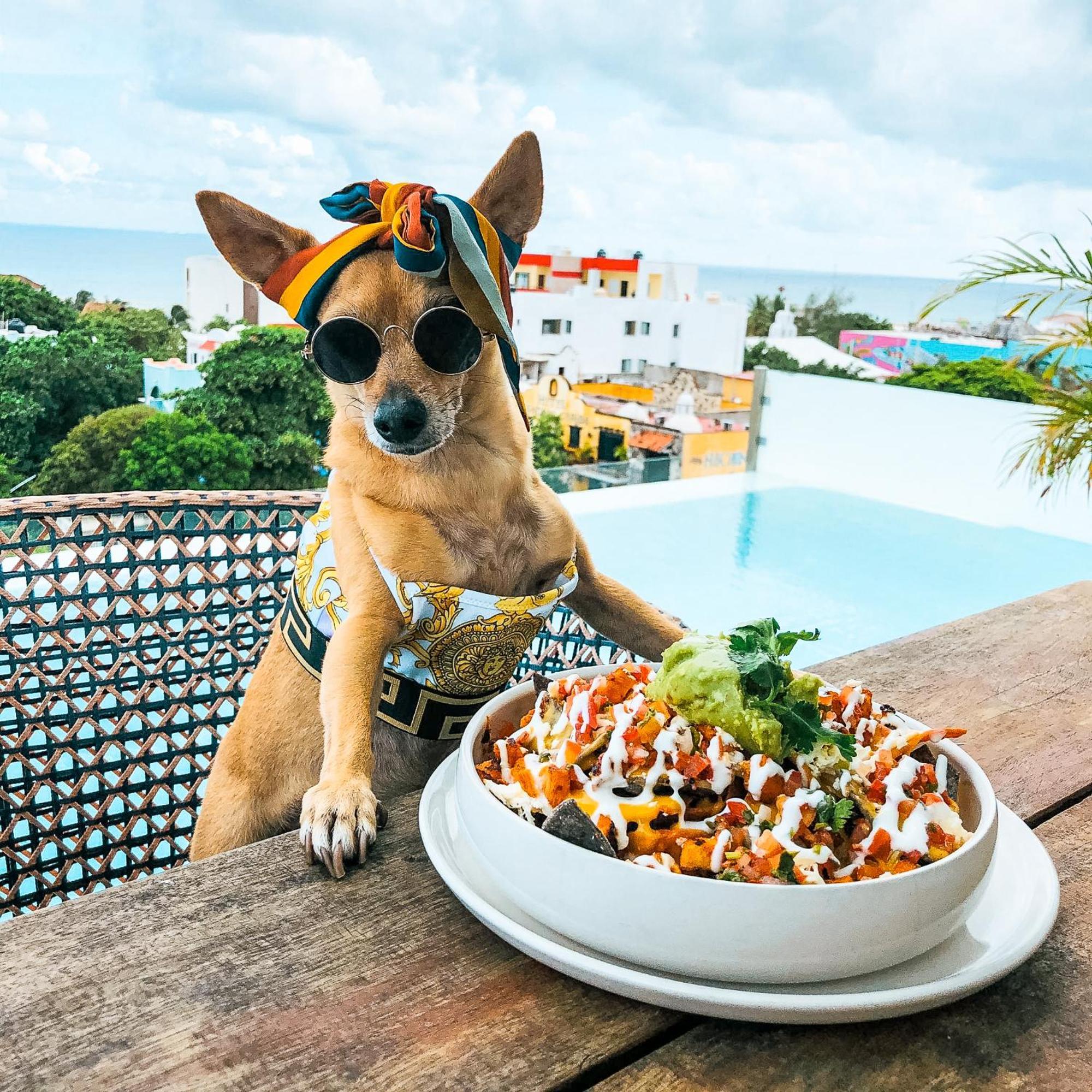 The Fives Downtown Hotel & Residences, Curio Collection By Hilton Playa del Carmen Ngoại thất bức ảnh